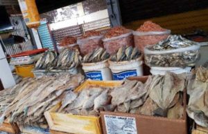 Gevisa fiscaliza venda de peixes e carnes em Campina Grande