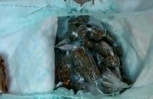 Polícia apreende droga escondida em fralda descartável em Campina Grande