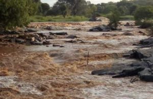 Chove em municípios do Cariri e rios descem com água para Boqueirão