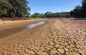 115 cidades da Paraíba estão em emergência, mas só receberam quatro recursos; duas são do Cariri