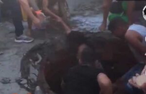 Mulheres caem em fossa cheia de merda durante festa mas “escapam fedendo”;
