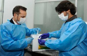 Brasil recebe vírus-semente para iniciar desenvolvimento de vacina contra monkeypox