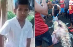 TRAGÉDIA: Crocodilo mata e engole menino de 8 anos na frente dos pais