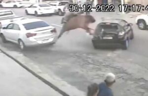 PM e cavalo são atingidos por carro durante ação na Paraíba