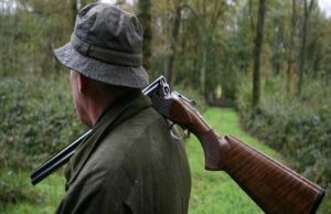 Cachorro pisa em arma, atira e mata o seu próprio dono, de 32 anos, dentro de carro