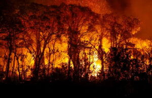 Incêndios causados pela seca podem agravar cenário de interrupções de energia elétrica